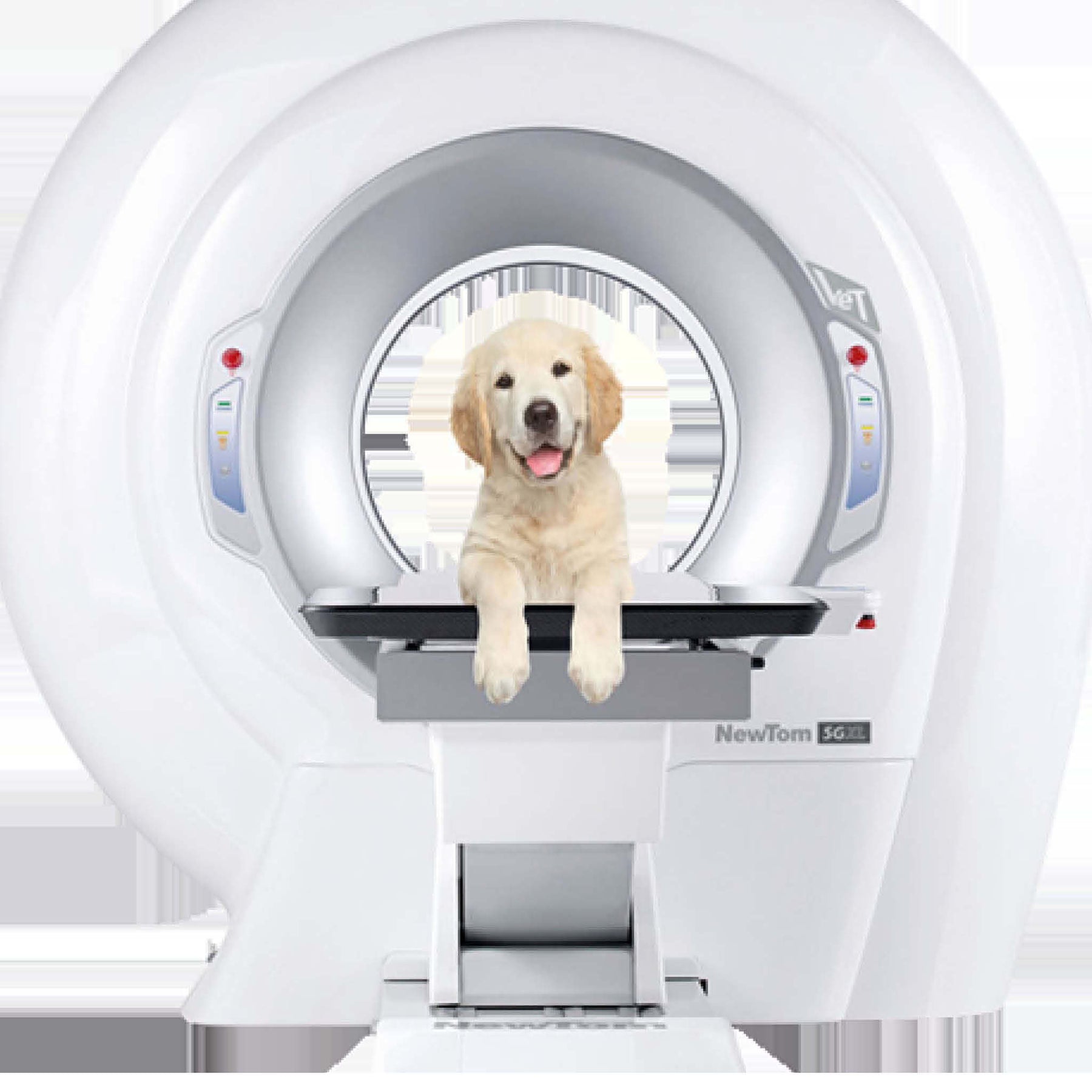 Vet CT with Cone Beam