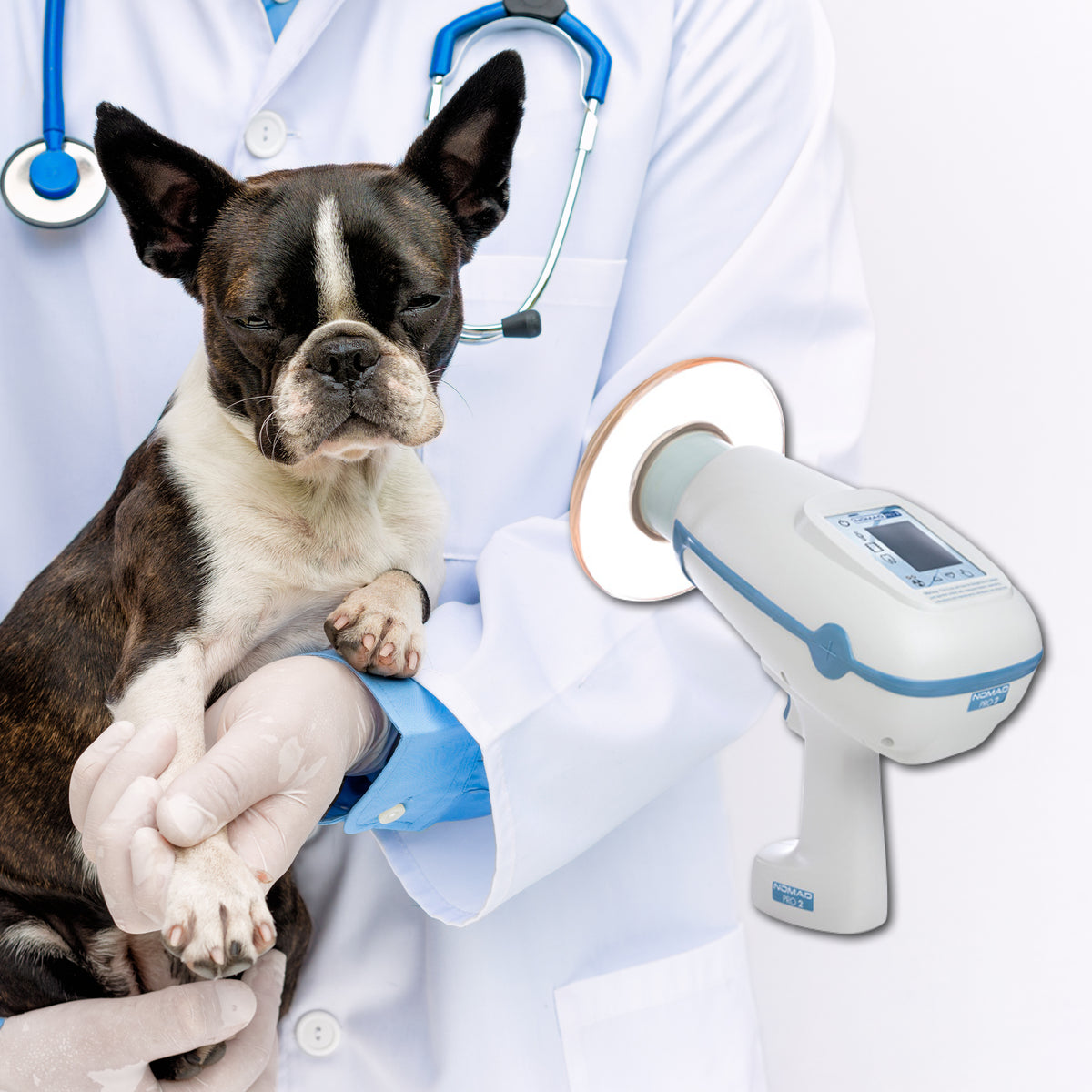 Dexis Nomad Vet handheld portable X-ray