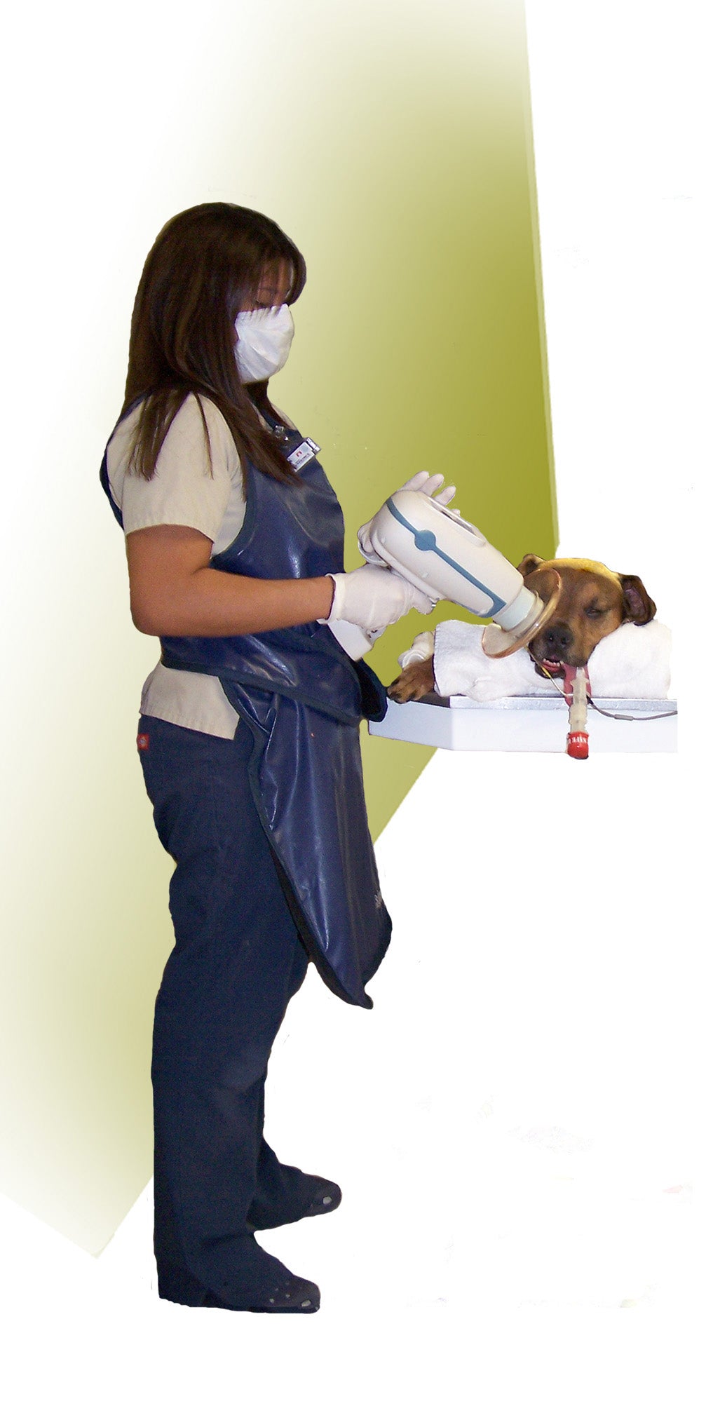 Dexis Nomad Vet handheld portable X-ray