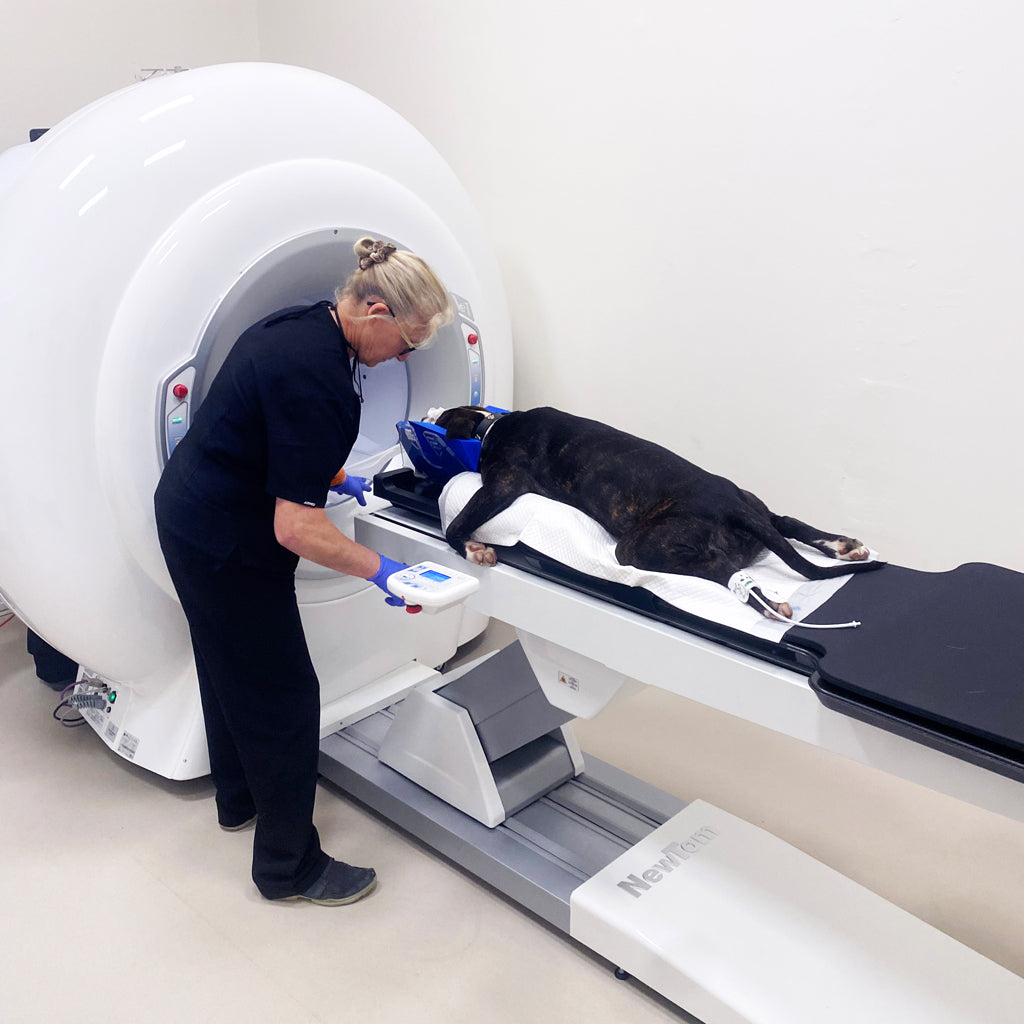 Taking Veterinary Imaging to New Heights.