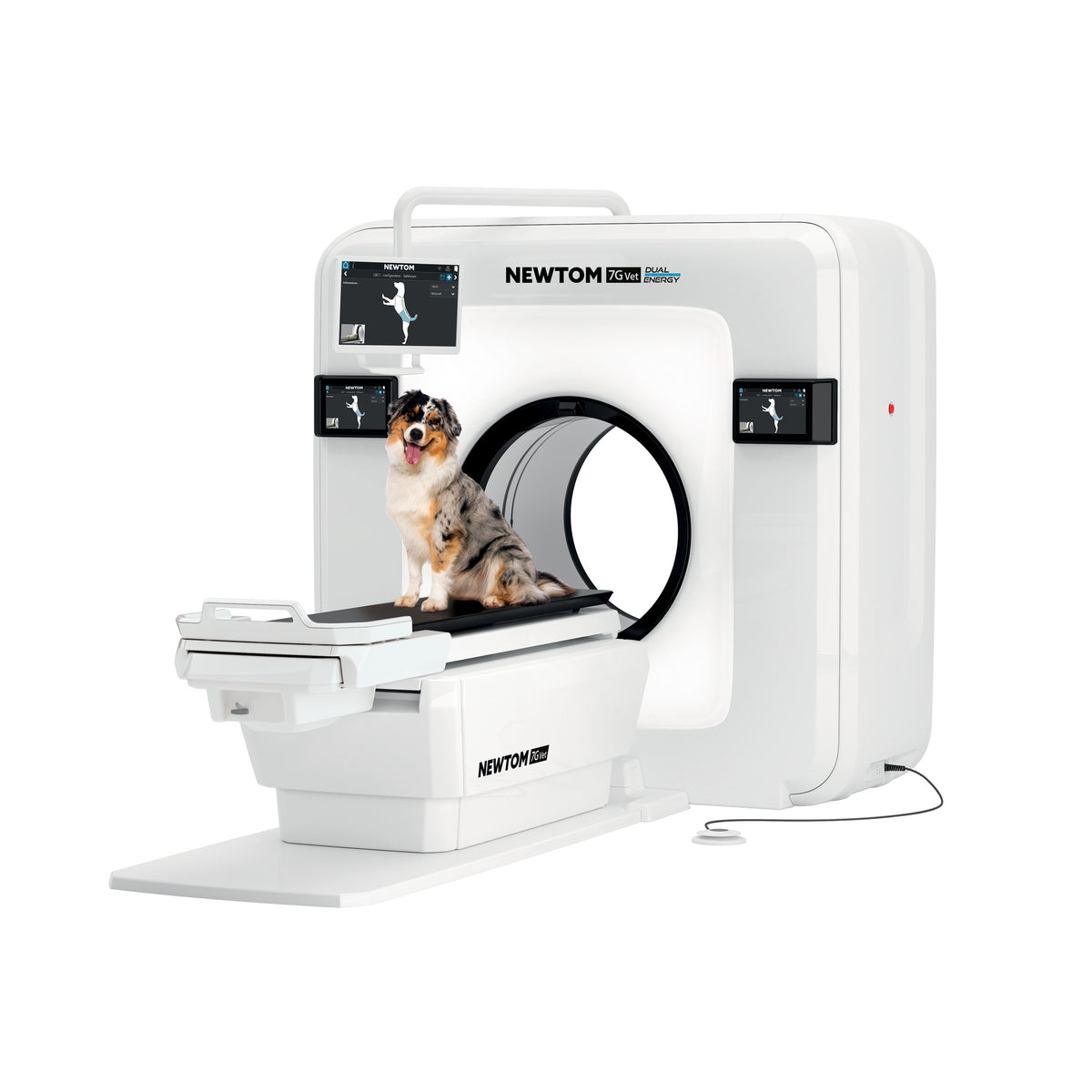 NEWTOM 7G VET