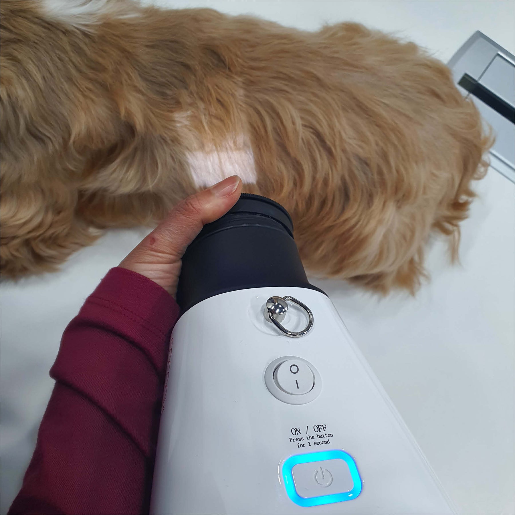 Dexcowin COCOON Handheld Vet X-ray portable unit for animals of all sizes
