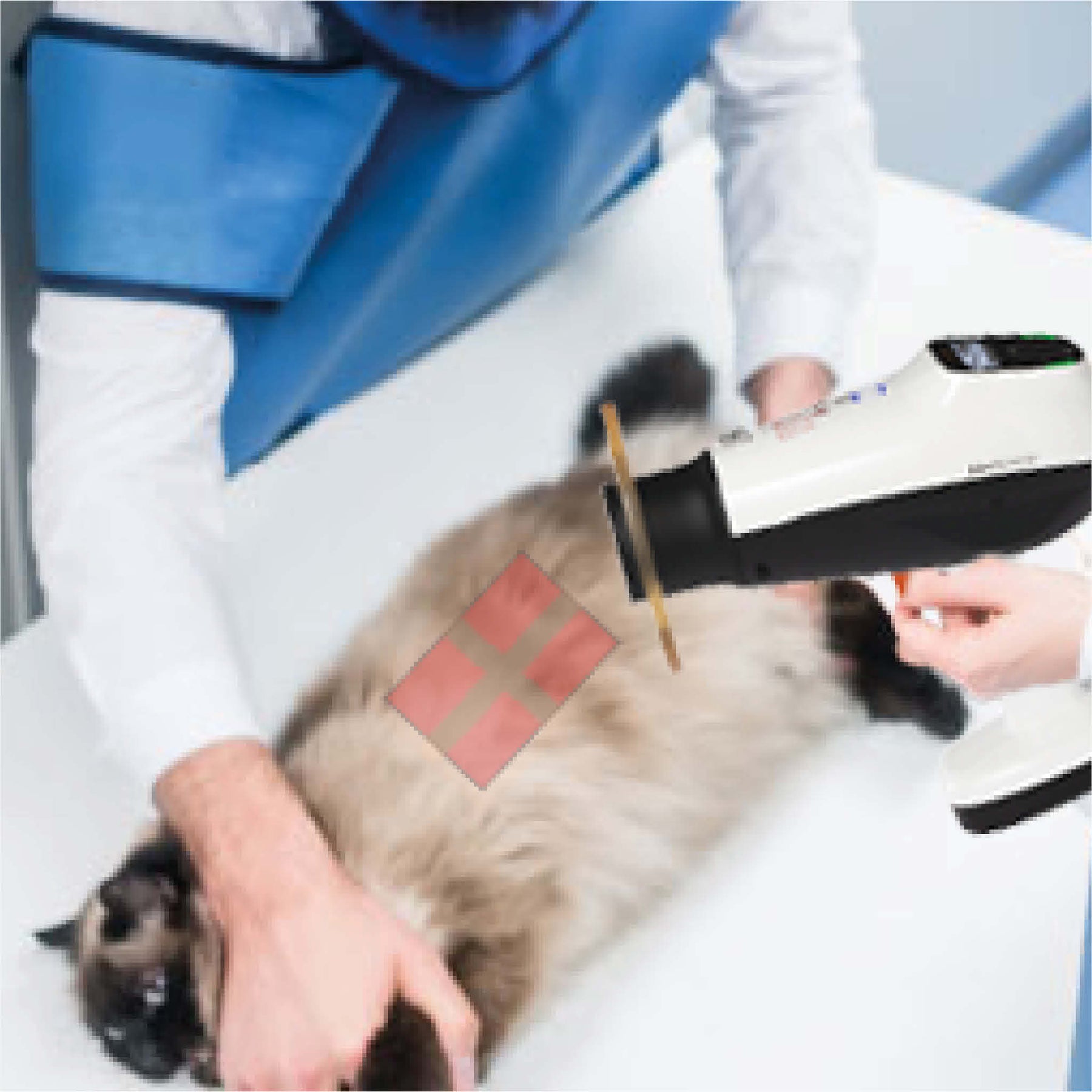 Dexcowin COCOON Handheld Vet X-ray portable unit for animals of all sizes