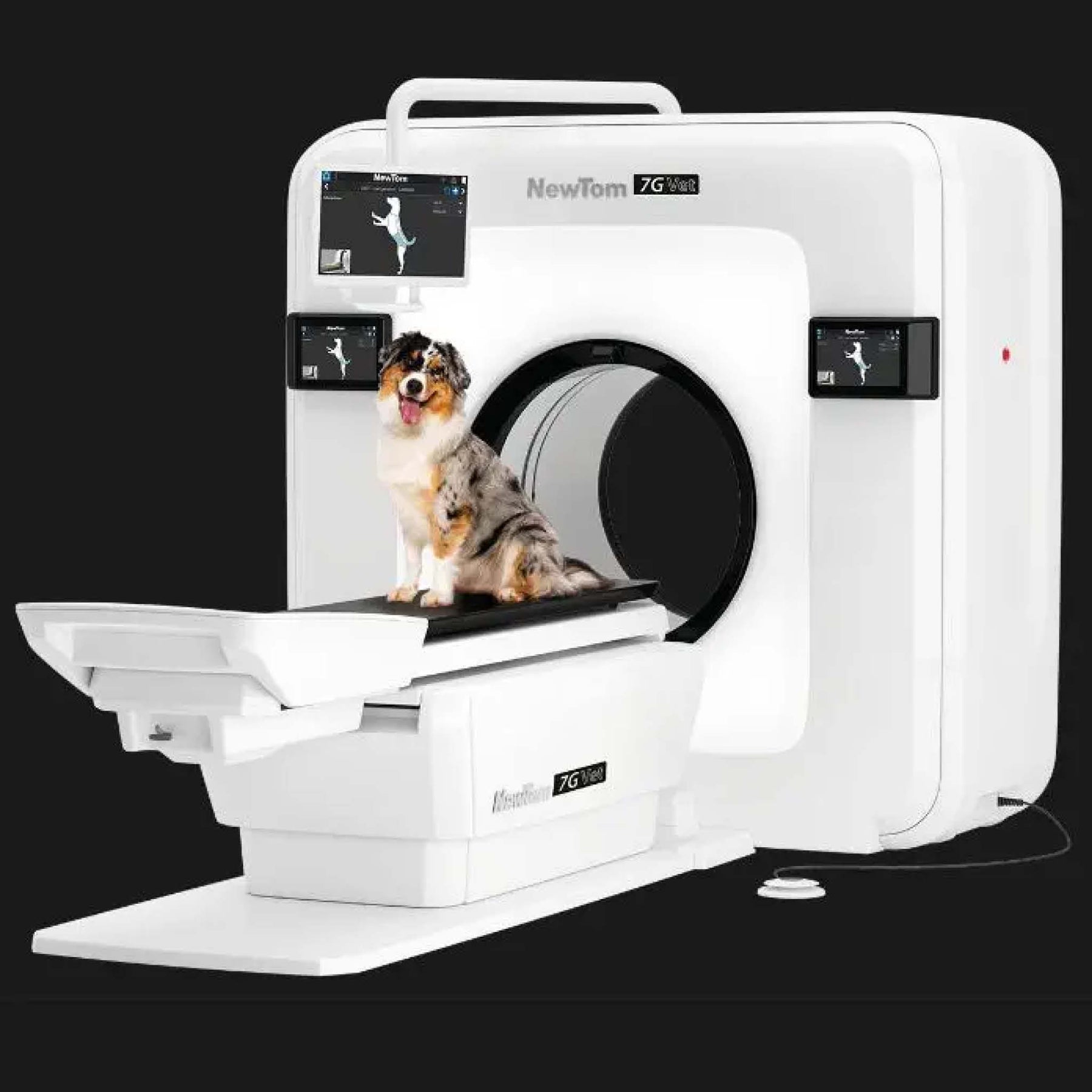 NewTom 7G Vet Cone Beam CT